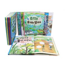 네버랜드 자연학교 시리즈 12권 세트, 시공주니어