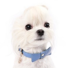 AMYLOVESPET 絲帶領 M, 浪漫藍