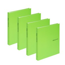 Dream Trevien 透明文件 40 張, 黃綠色, 4入