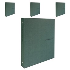 Dream Sevien O 型圈活頁夾 3 個球, 綠色, 4入