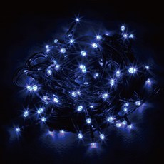 Dawoo F&G NEW LED 燈泡燈飾 綠色線 100燈, 藍色, 1個