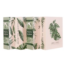 迷你相冊, 龜背竹, 植物, 大葉, 熱帶, 100張