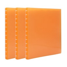 DREAM 主題清除文件 A4 30 張, 橘色, 3入