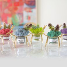 ASPASIA 馴鹿家族斯堪地亞苔蘚花盆 5入 + Thank you 明信片, 1套