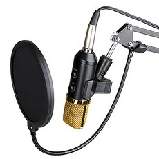 nutz 有線多合一專業廣播麥克風金牌, 納米100