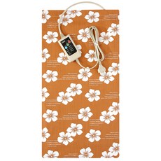 닥터투데이 황토 맥반석 참숯 옥 온열 전기 찜질기 중형, HAJ-300, 브라운