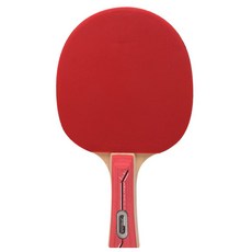 WALDNER 600桌球拍