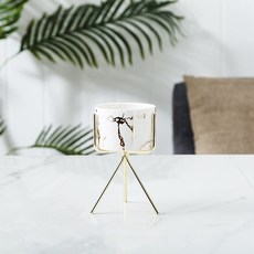I Love Home 金色大理石紋多肉花盆 小型 + 框架, 白色