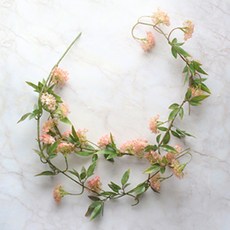 MORIANN 暗黑破壞神藤和諧, 橘子