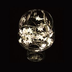 陶氏 F&G 新 LED 電線星形燈泡電池類型 30 燈泡 2p, 透明線+暖白