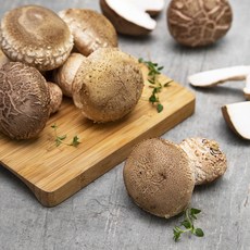 무농약 인증 국내산 추재버섯, 200g, 1팩