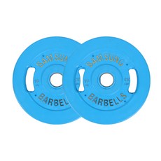 우성 다이나믹 컬러원판 2p, 10kg, 블루