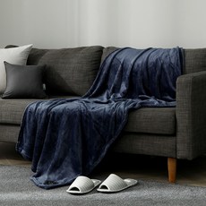 프리미엄 극세사 투데이 담요 2종세트