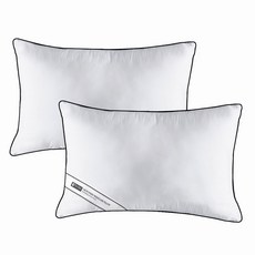 The Zari 黑色滾邊飯店風格枕頭, 白色的