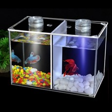 MIMINEAQUA 特殊壓克力鬥魚2格魚缸組, 單一顏色