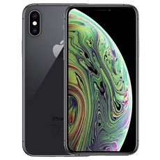 Apple 아이폰 XS Max 자급제, 스페이스 그레이, 512GB