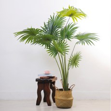 RYMD 조화 팬 야자 나무, 혼합 색상, 1개