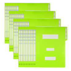 A4資訊文件夾 蜈蚣夾, 40個, 嫩綠色