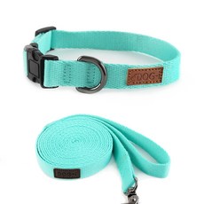 Dog-i 素色狗狗項圈+牽引繩, 薄荷, 1套