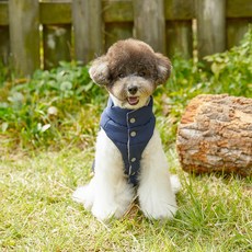 BENNYS 兩穿寵物狗羽絨外套, 海軍藍