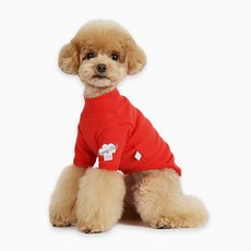 ITS DOG 汪汪主廚T恤 狗狗服飾, 紅色