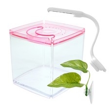 Lorapet LED 磁鐵方形魚缸套組, 粉色，隨機發貨（淺色）