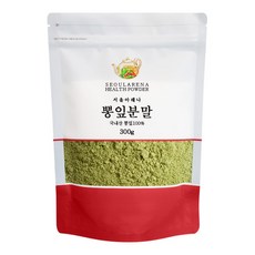 서울아레나 뽕잎분말 국내산, 1개, 300g