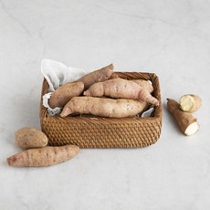 바름 유기농 인증 한입 햇고구마, 1.5kg, 1봉