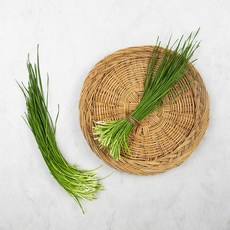 국내산 영양부추, 300g, 1봉