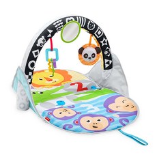 피셔프라이스 휴대용 아기체육관, 혼합 색상, 1개