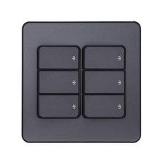 CHEIL ELECTRIC Diat Plus 金屬灰色開關 6, 1個