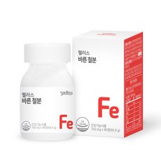 웰러스 바른 철분, 1개, 90정