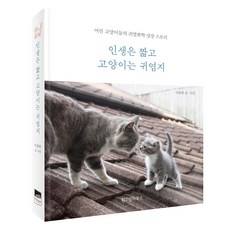 人生苦短 貓咪可愛, 智慧屋