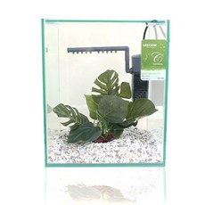 LEECOM 鳳梨屋裝飾魚缸組, 闊葉
