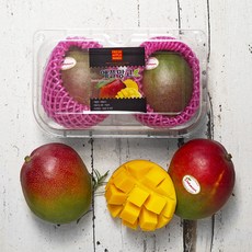 더달 페루 애플망고, 760g(2입), 1개