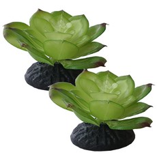 아쿠아테라 어항 장식 다육 수초 ATPC-82, 2개