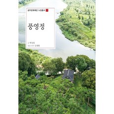 풍영정, 심미안