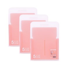 Indie 文件5格收納夾 風琴夾 直式, 粉紅色, 3個