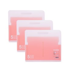 Indi 橫式5格風琴文件夾, 粉紅色, 3個