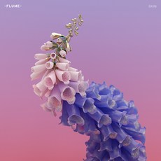 Flume - Skin 영국 수입반, 1CD