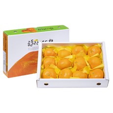 농협 레드향 세트, 3kg(11~15입), 1세트