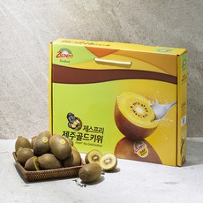 제주골드키위 선물세트, 2.1kg이상(개별 114g이상 18개입), 1개