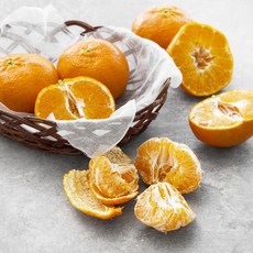 친환경 제주도 레드향, 1.2kg, 1개