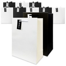 SOLOMON SHOP 1500 桃樂絲紙製購物袋 10入, 混色