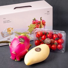 올프레쉬 제철과일 미니 선물세트 3호 1.07kg, 1세트