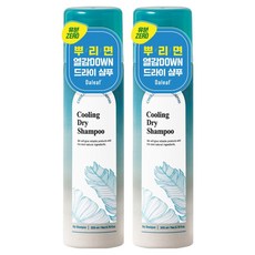 달리프 쿨링 드라이 샴푸 민트향, 2개, 200ml