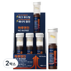 위시헬씨 하루엔진 마그 부스터샷, 2박스, 12회분