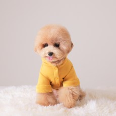 유노펫 반려동물 파블로 점퍼, MUSTARD, 1개
