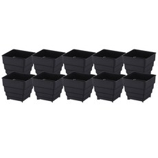 網格盆 多肉植物花盆 10入, 黑色, 10個