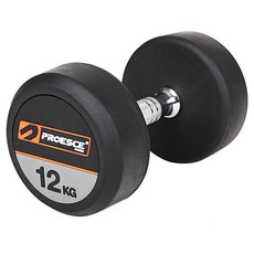 프로이스 프로페셔널 클럽 고무덤벨, 12kg, 1개